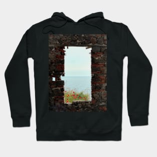 Sea Wall Hoodie